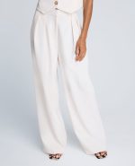 High Rise Fly Front Double Pleat Wide Leg Pant