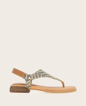 GENTLE SOULS - Holly Raffia Ankle Strap Thong