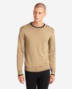 Striped Collar Pullover Knit