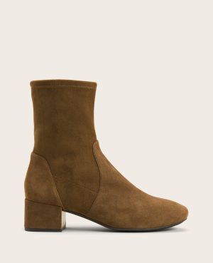 GENTLE SOULS - Ella Micro Suede Stretch Bootie