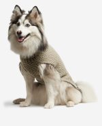 Cable Knit Dog Sweater
