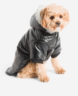 Metallic Hooded Puffer Dog Coat